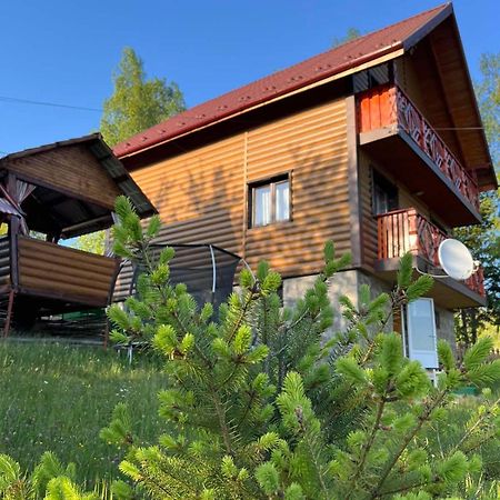 Сімейний Котедж Краєвид Mykulychyn Ngoại thất bức ảnh