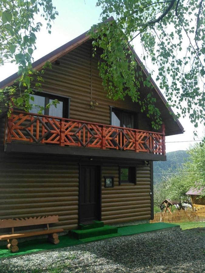 Сімейний Котедж Краєвид Mykulychyn Ngoại thất bức ảnh
